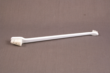 BROSSE A DENTS CHIEN PAR 12 PIECES