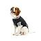 BUSTER BODY SUIT EasyGo CHIEN NOIR/GRIS 62cm XL