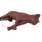 CHAT D'EXERCICE REANIMATION CAPPER