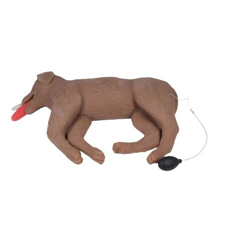 CHIEN D'EXERCICE REANIMATION COOPER