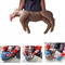 CHIEN D'EXERCICE REANIMATION COOPER