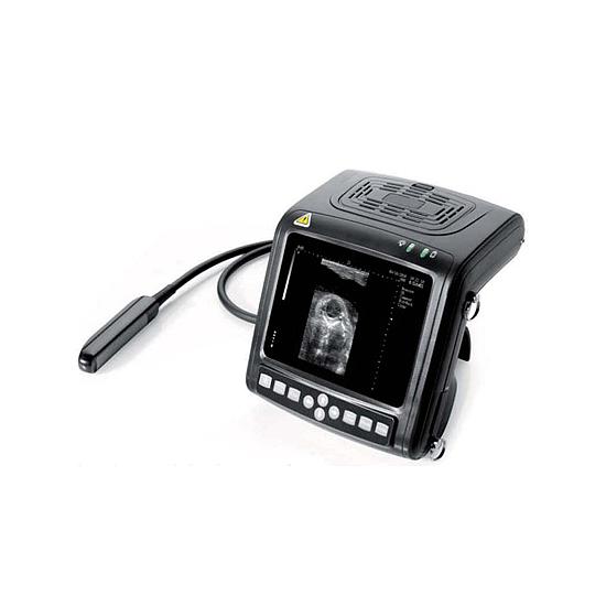 ECHOGRAAF RURAAL KX5200 MET LINEAIRE RECTALE SONDE