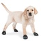HONDENSCHOEN PAWZ 10,2cm ZWART (x12)