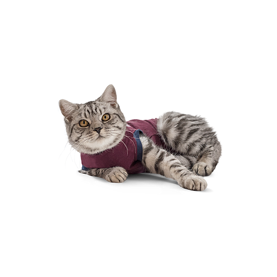 JACKETZ MEDICAL BODY SUIT CHAT XS