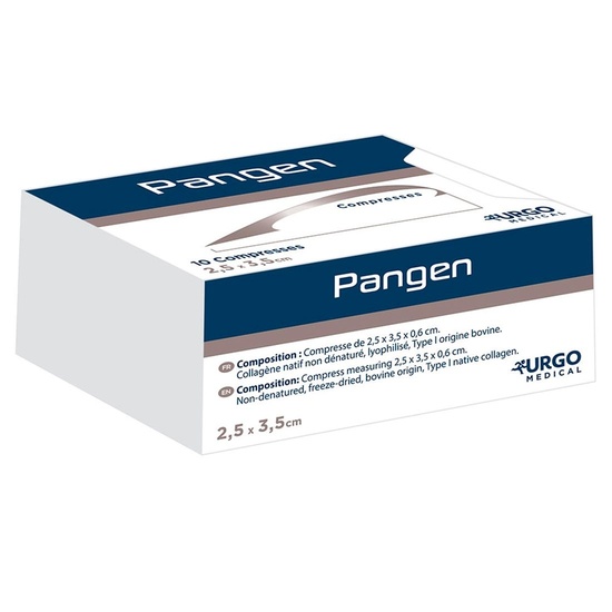 KOMPRES PANGEN 2,5x3,5cm (x10)