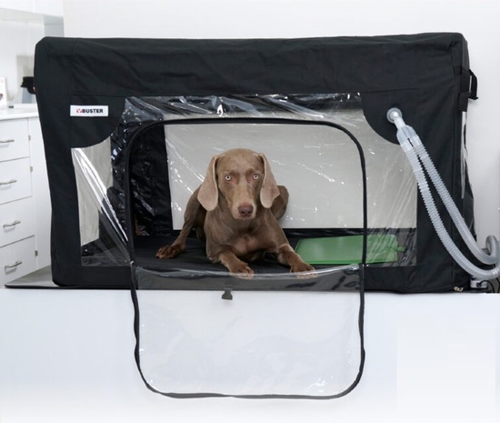 KOOI BUSTER ICU-L 110X65X65cm