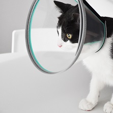 KRAAG VELFAST  7,5cm BLAUW (x12)