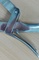 MONDSPREIDER PAARD MILLENIUM 30 TANDEN
