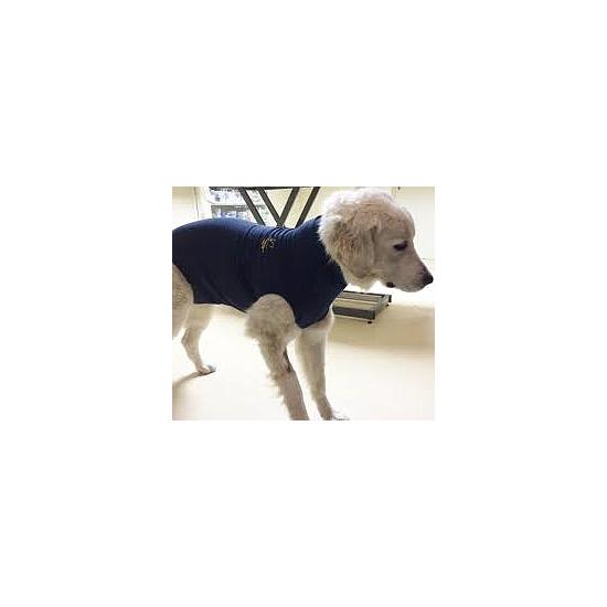 MPS MEDICAL PET SHIRT HOND MAAT XXXS