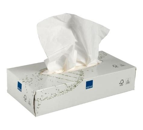 PAPIEREN ZAKDOEKJES 2PL (x100)