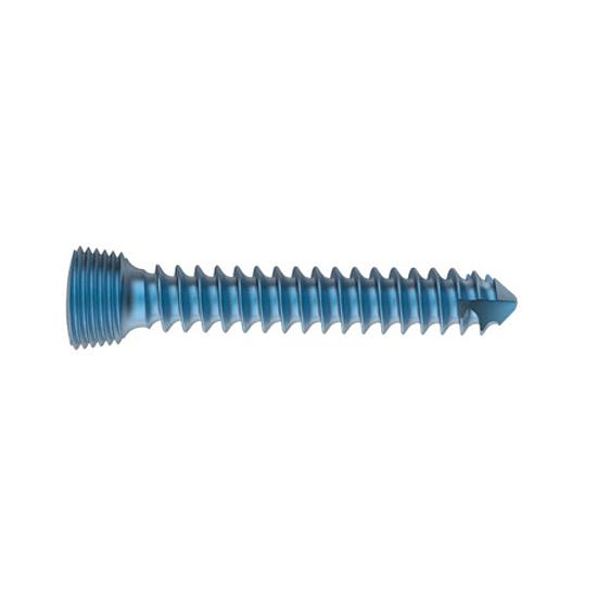 PAX LOCKING SCHROEF TI D2x8mm 7040