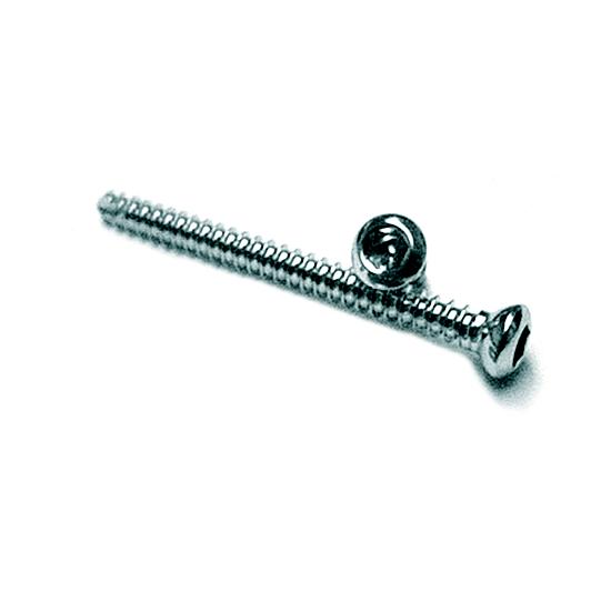 SCHROEF 5,5mm INOX 80mm 2029