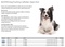 SONDE VESICALE CHIEN BUSTER OPEN END 2,0mmx50cm CH6 (x12)