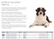 SONDE VESICALE CHIEN HC BUSTER 2,0mmx50cm CH6 (x5)
