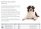 URINESONDE HOND HC BUSTER 2,6mmx50cm CH8 (x5)