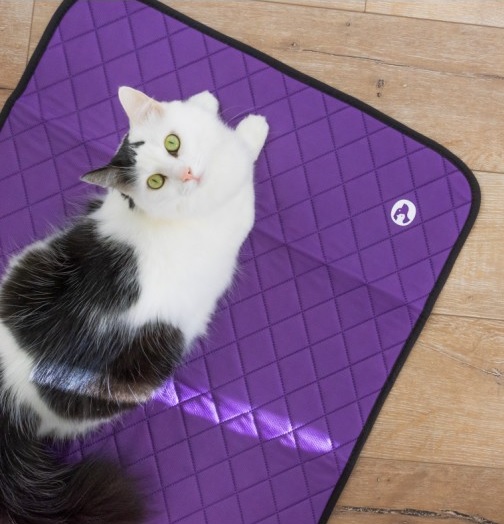 VETOPOP DRYPOP ABSORBERENDE MAT violet 48x32cm
