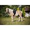 ZADEL SET PONY